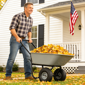 Two-wheeled Cart, Garden Cart, 10-inch Pneumatic Wheels Gray