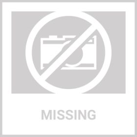 5-Filter Rain Shower Head - High-Pressure Water Flow & Durable Painted Finish For A Luxurious Shower Experience